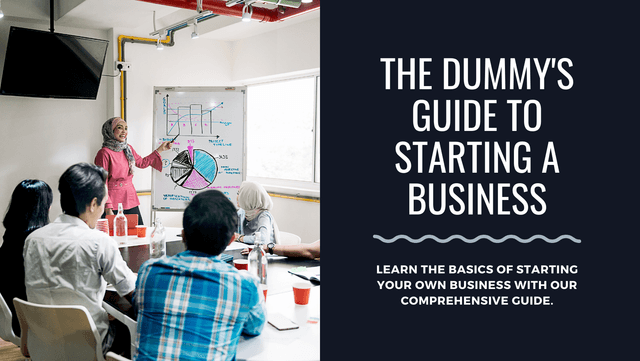 Dummies Guide to Starting a Business